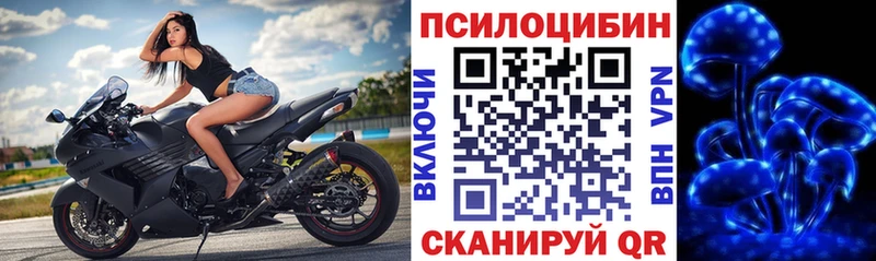 Псилоцибиновые грибы прущие грибы Меленки