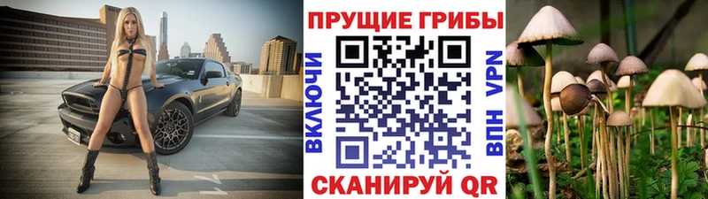 Галлюциногенные грибы Psilocybine cubensis  Меленки 